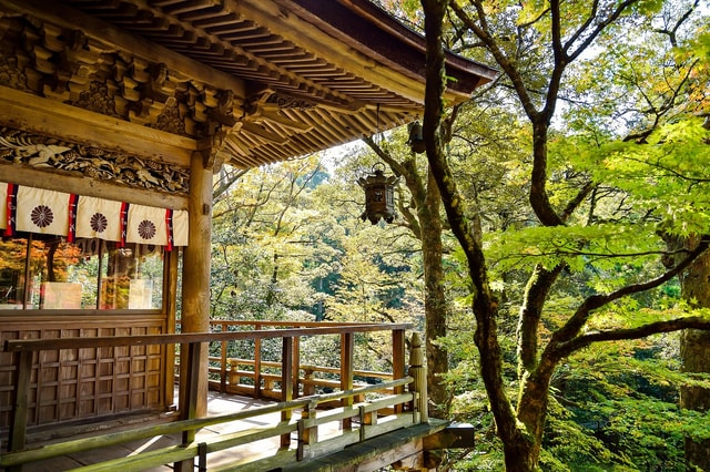 The Case for Japanese Small Cap Equity